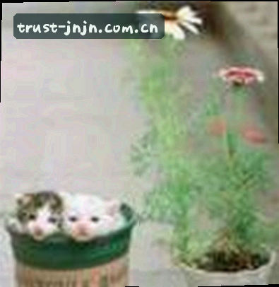 李总